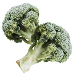 Fresh Organic Garlic